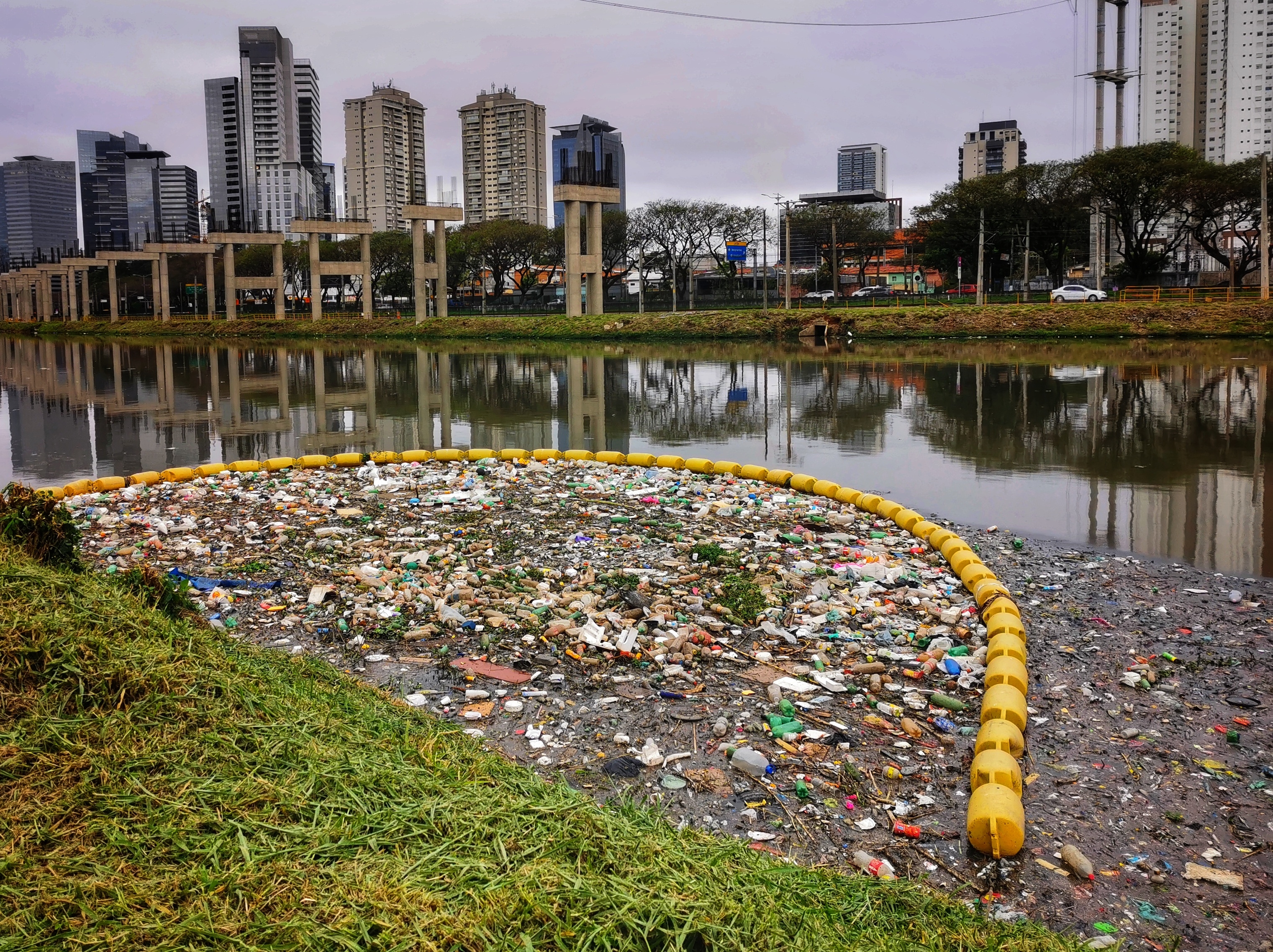 Chamada para projetos de despoluição do Rio Pinheiros